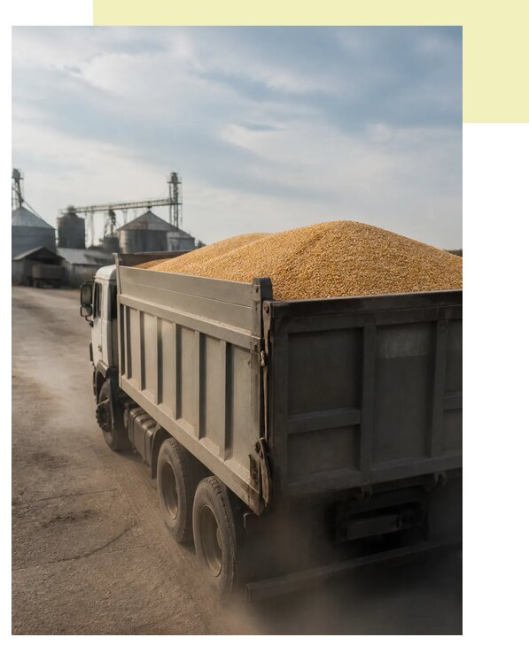Перевозка сельхозпродукции навалом в Лугу по цене от 3093 р. | Агросервис-Лга